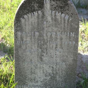 FORTUIN David -1899