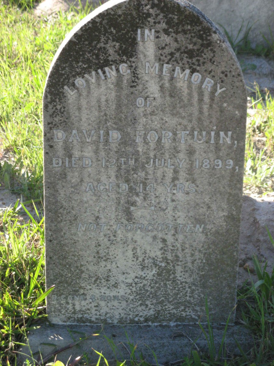 FORTUIN David -1899