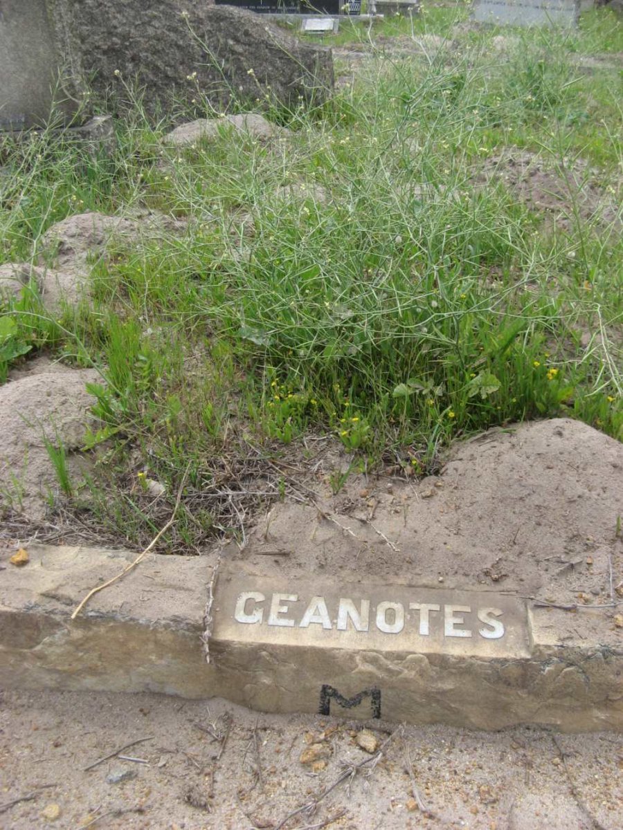 GEANOTES