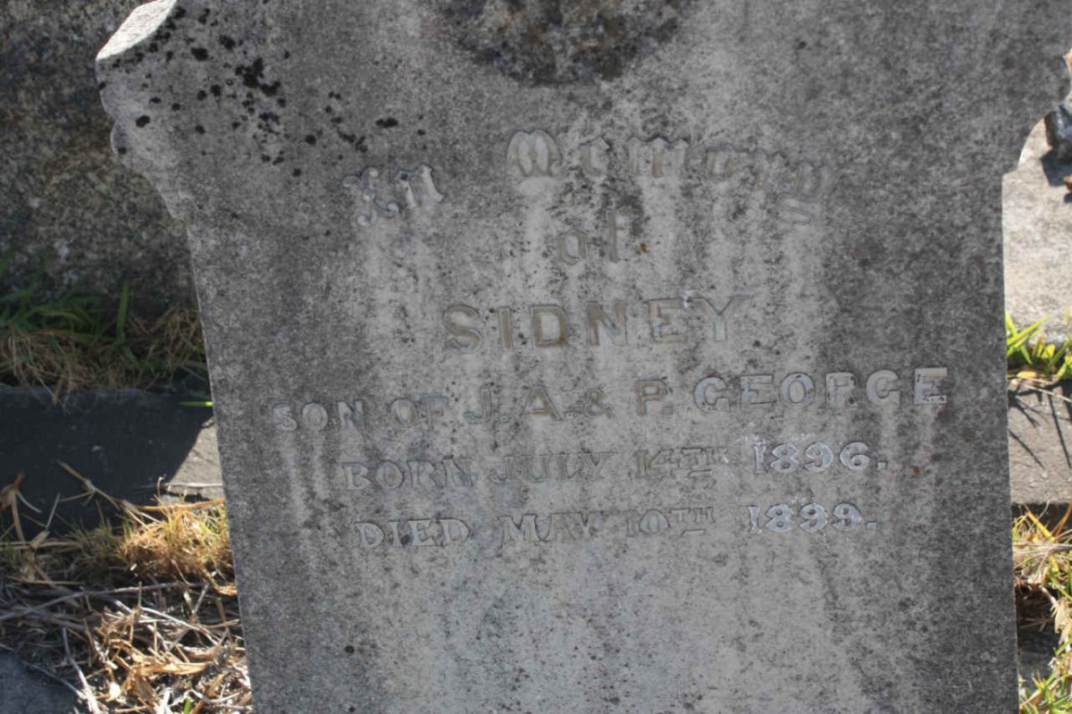GEORGE Sydney 1896-1899