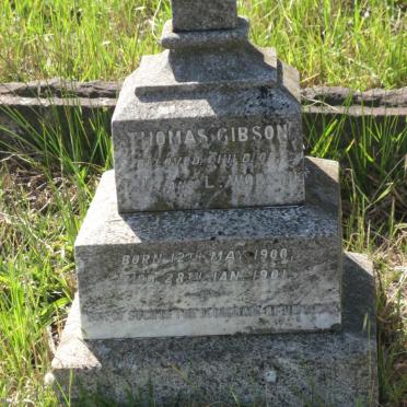 GIBSON Thomas 1900-1901