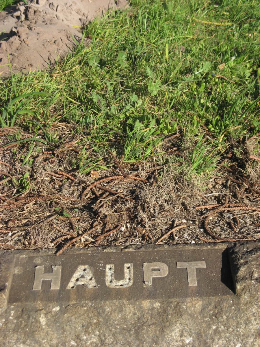 HAUPT