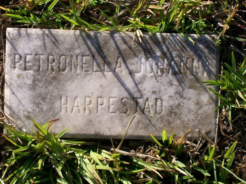 HARPESTAD Petronella Johanna