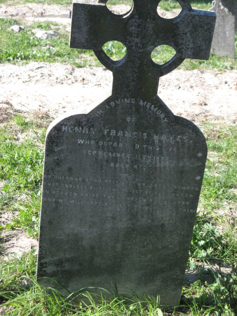 HAYES Henry Francis -1895