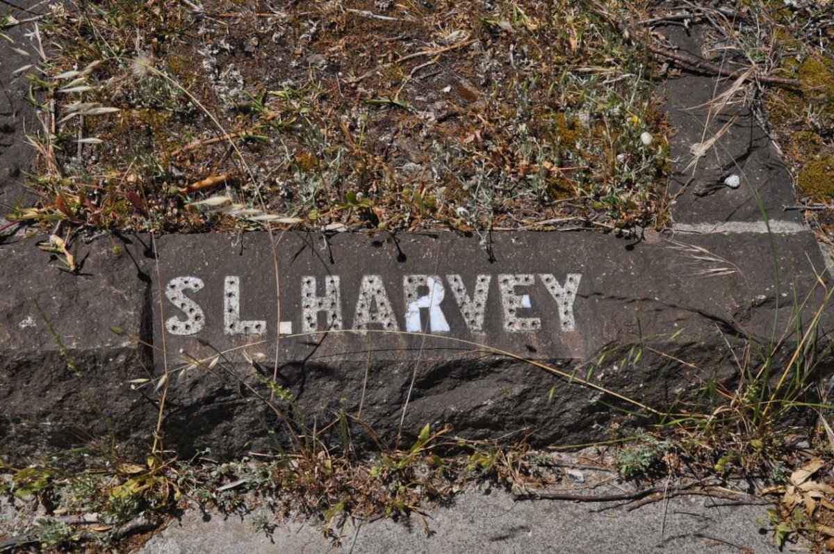 HARVEY S.L.