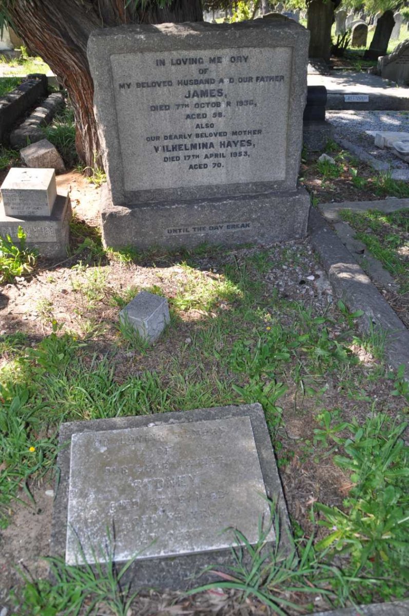 HAYES James -1936 &amp; Wilhelmina -1953 :: ? Sydney :: MARTIN ?