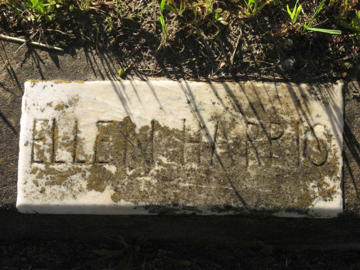 HARRIS Ellen