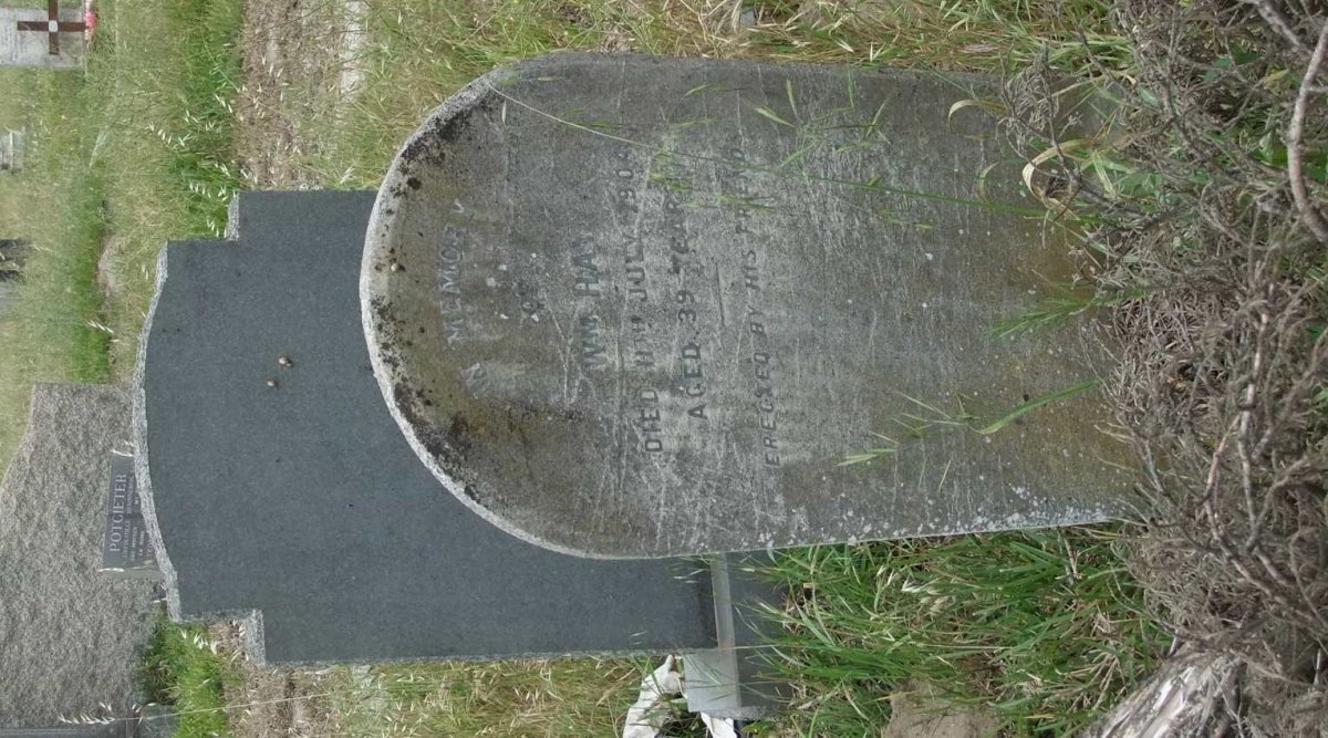 HAY Wm -1904