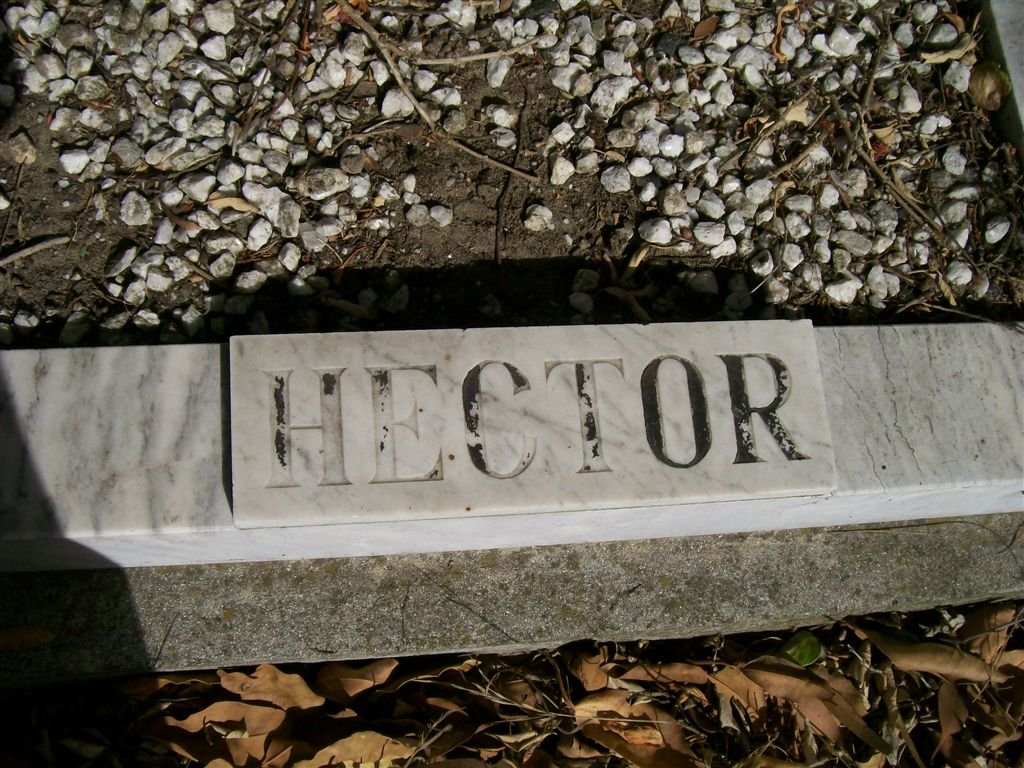 HECTOR