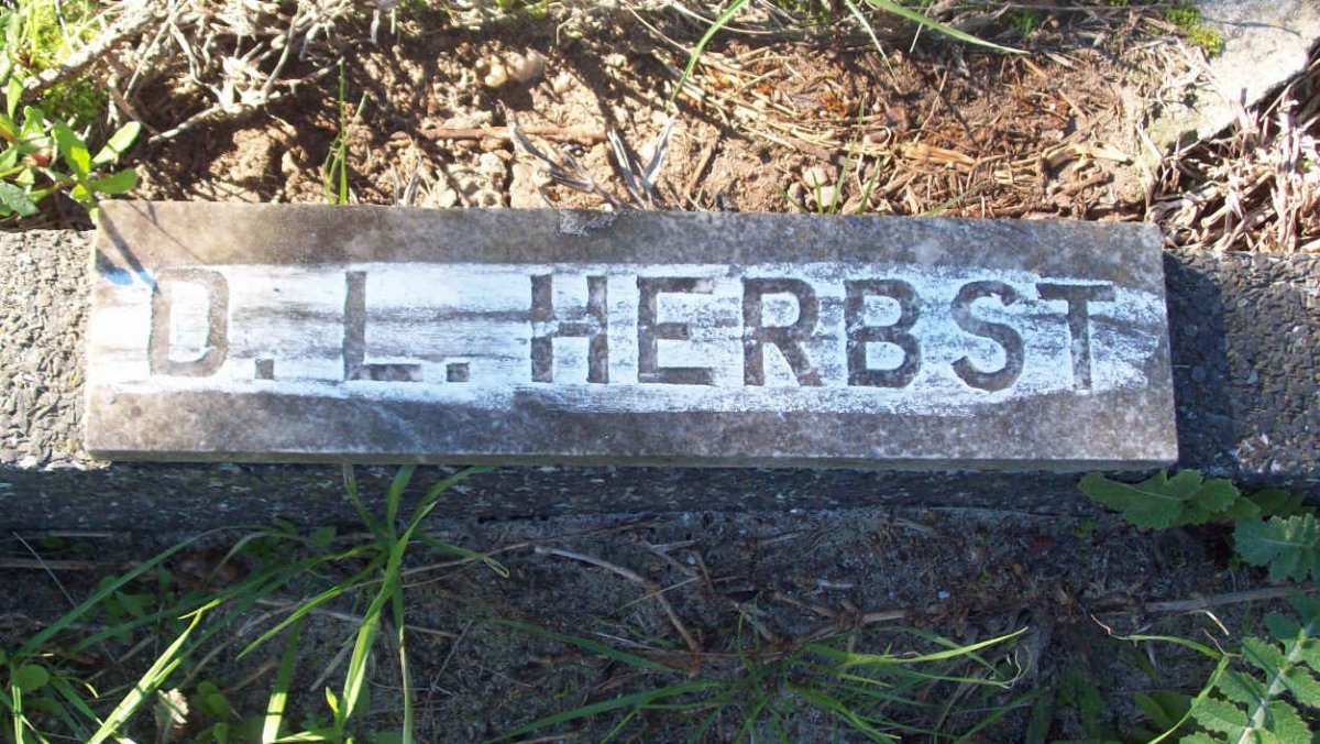 HERBST D.L.