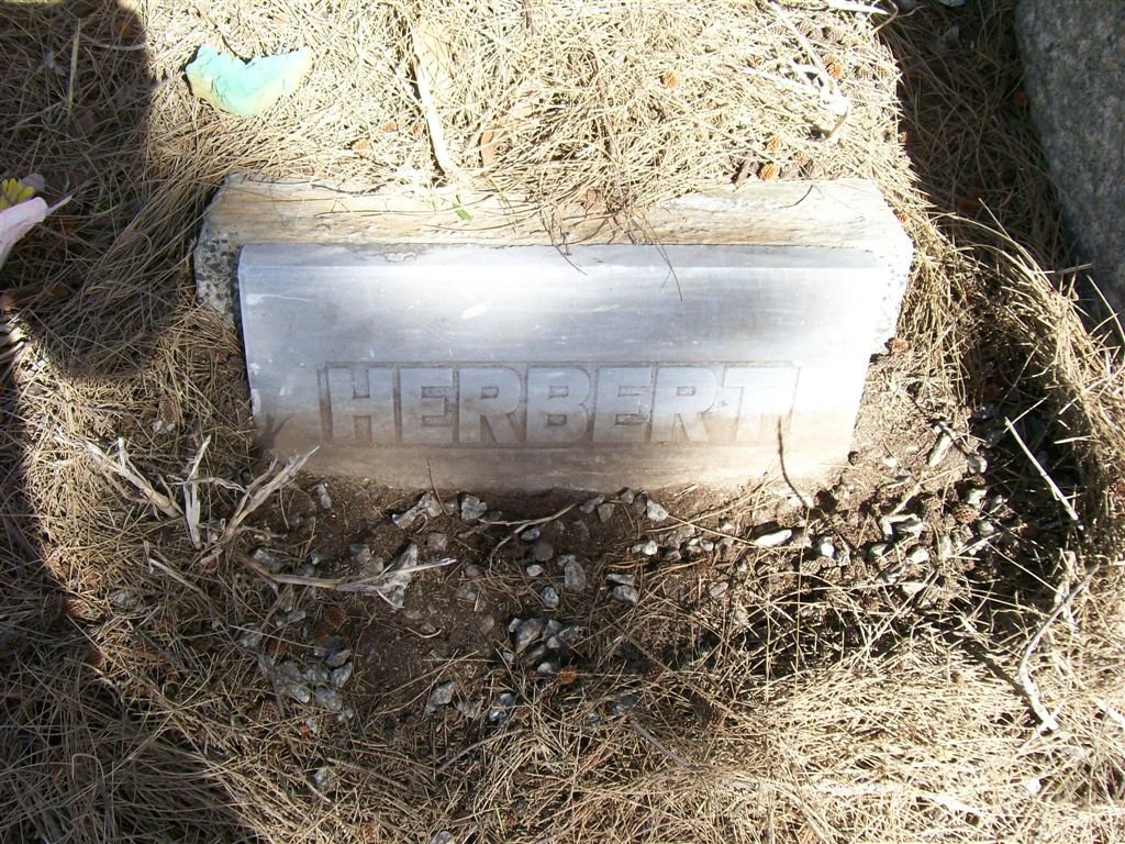 HERBERT