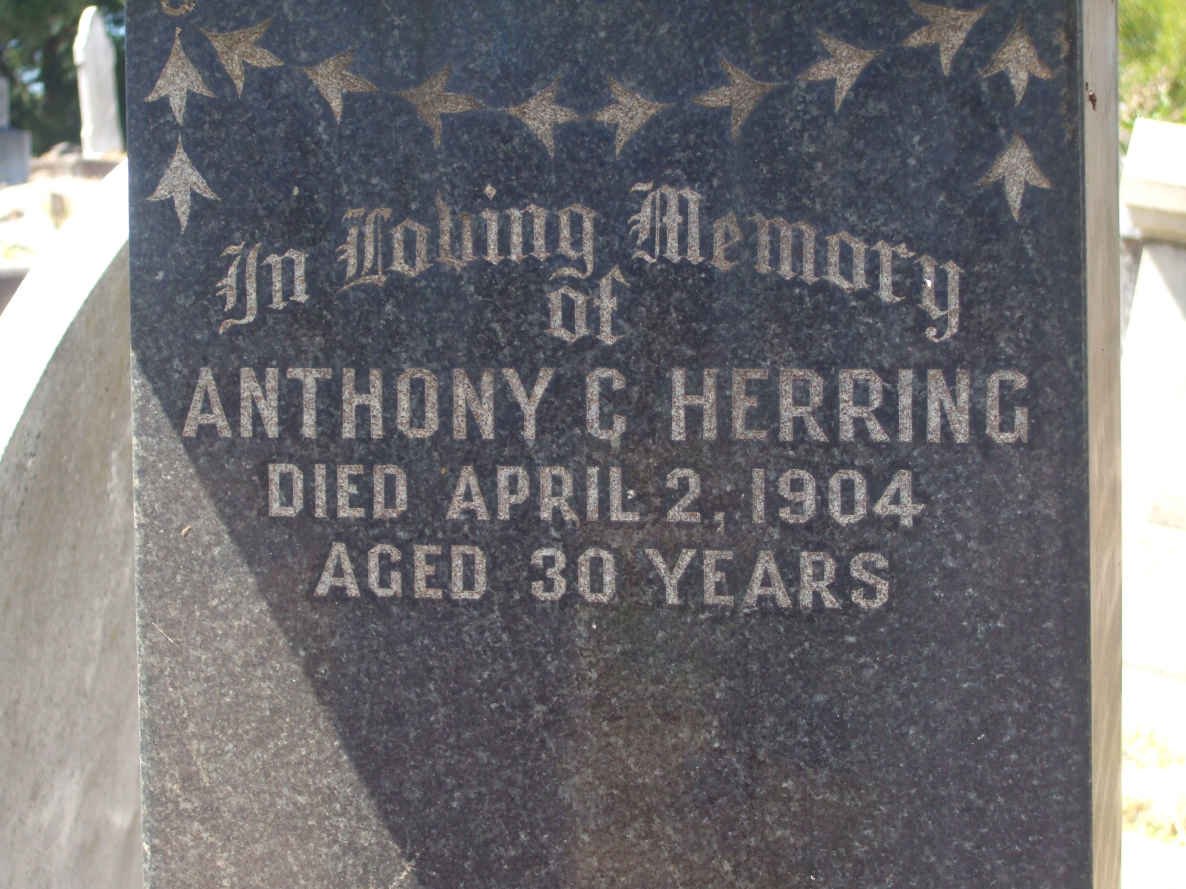 HERRING Anthony C. -1904