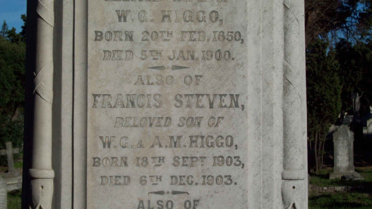 HIGGO W.C. 1850-1900 :: HIGGO Francis Steven 1903-1903