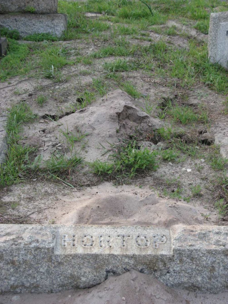 HORTOP