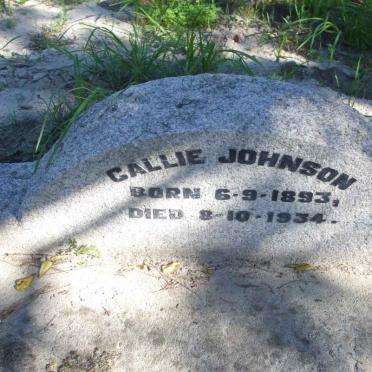 JOHNSON Callie 1893-1934