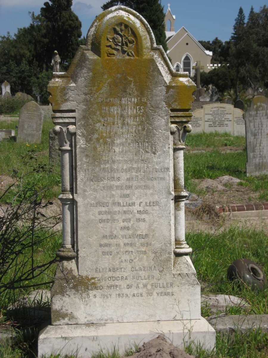 JAMES Henry 1809-1886 :: FULLER Alfred William 1866-1916 