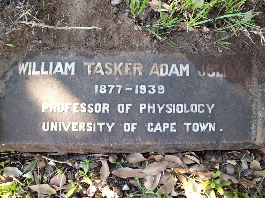 JOLLY William Tasker Adam 1877-1939