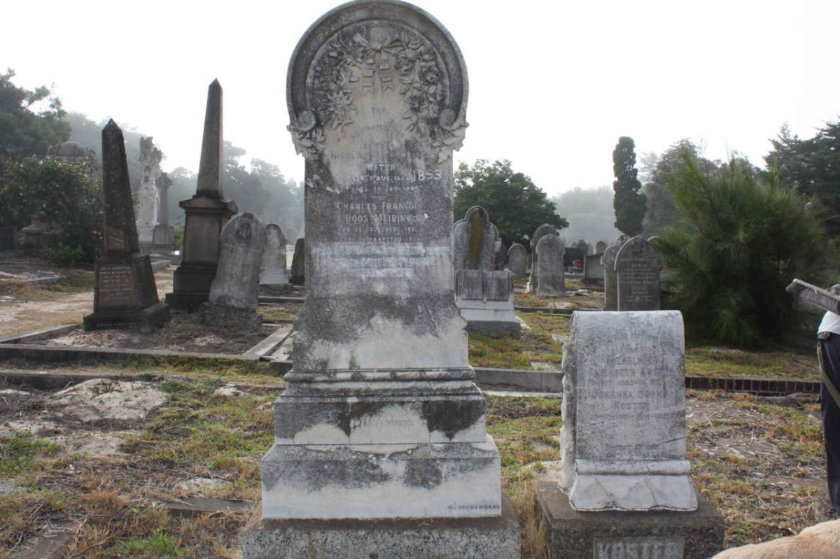 KOSTER :: MEIRING :: DE VILLIERS
