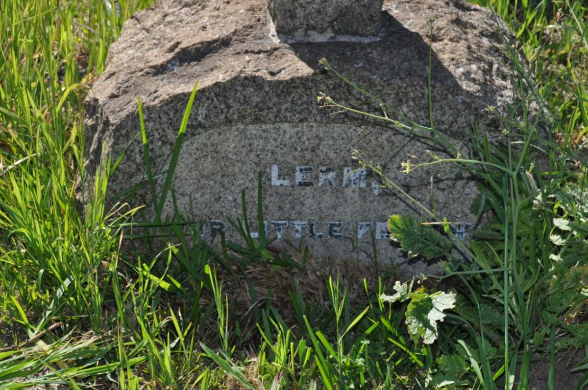 LERM