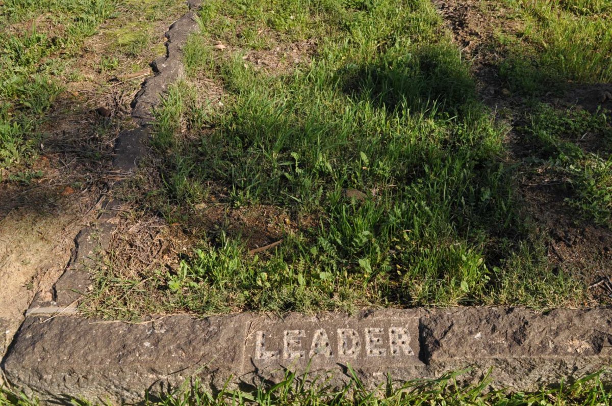 LEADER
