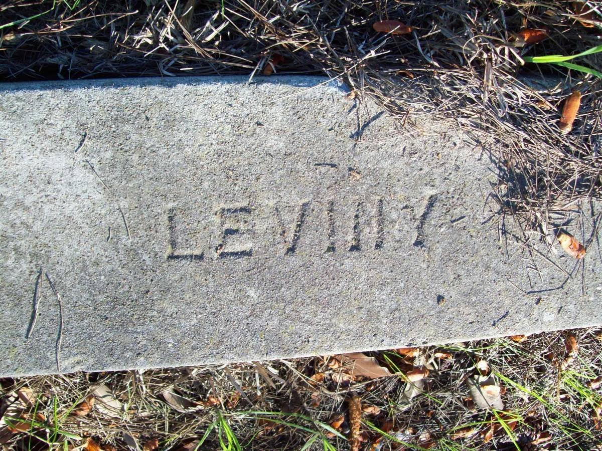 LEVINY