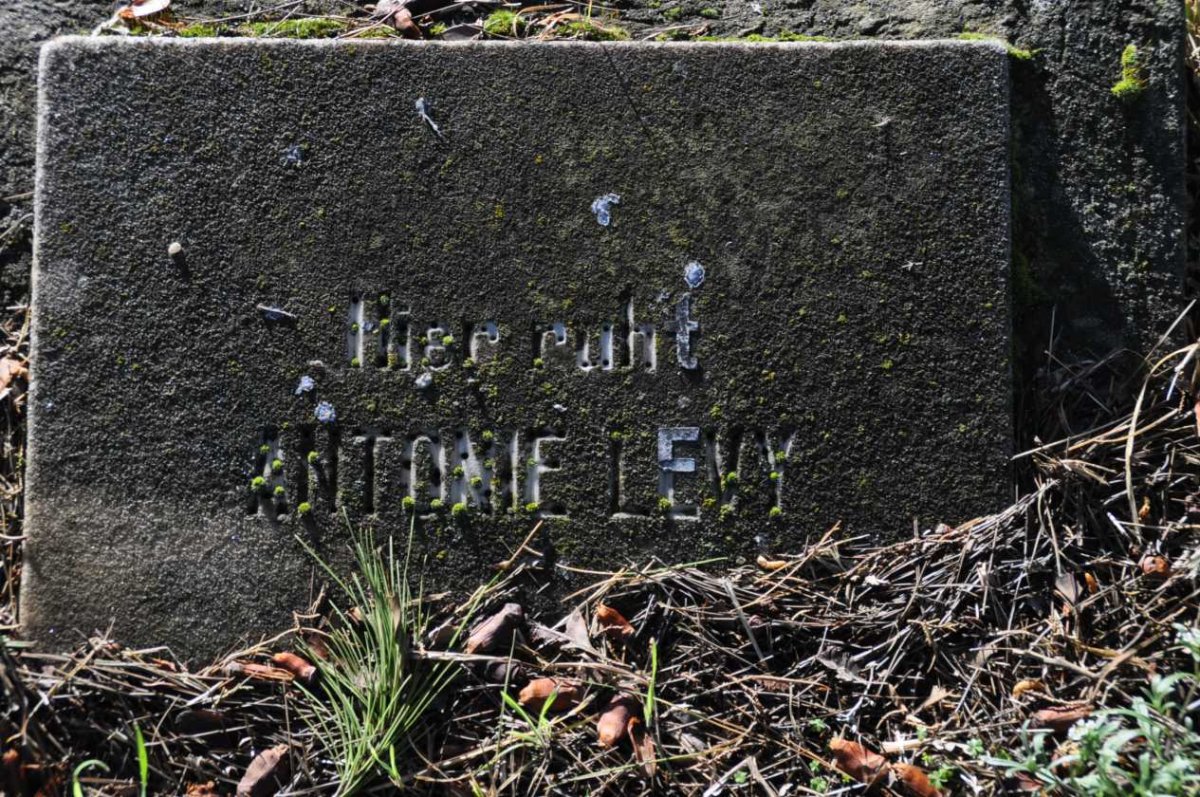 LEVY Antonie