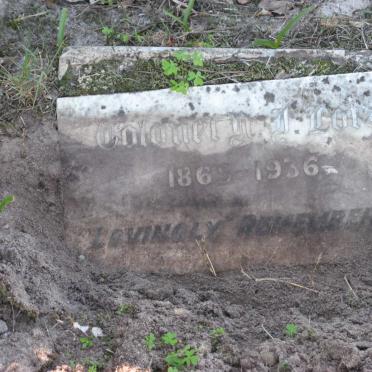 LOTZ N.J. 1865-1936