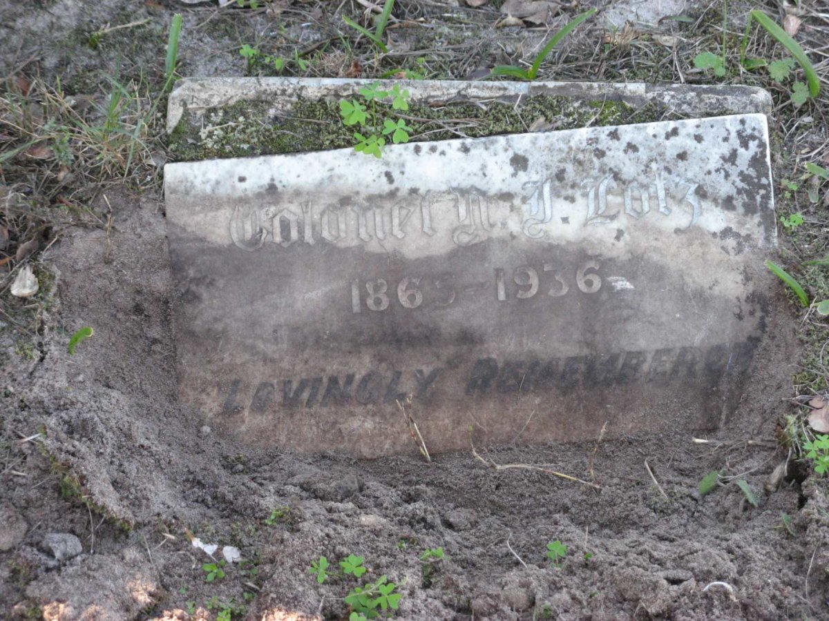 LOTZ N.J. 1865-1936
