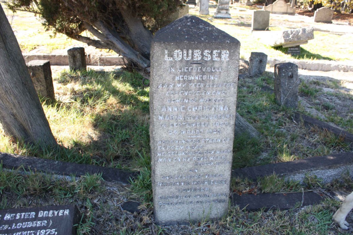 LOUBSER :: DREYER