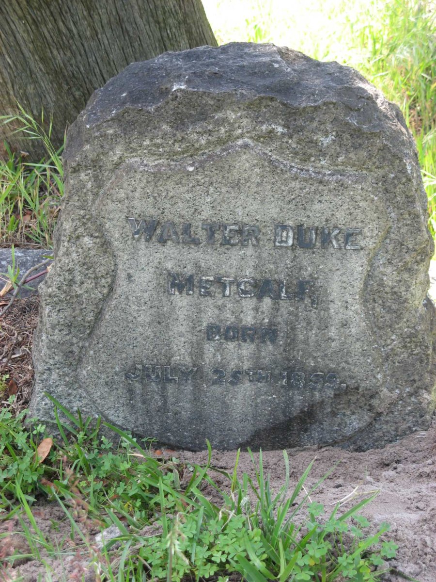 METCALF Walter Duke 1859-1923