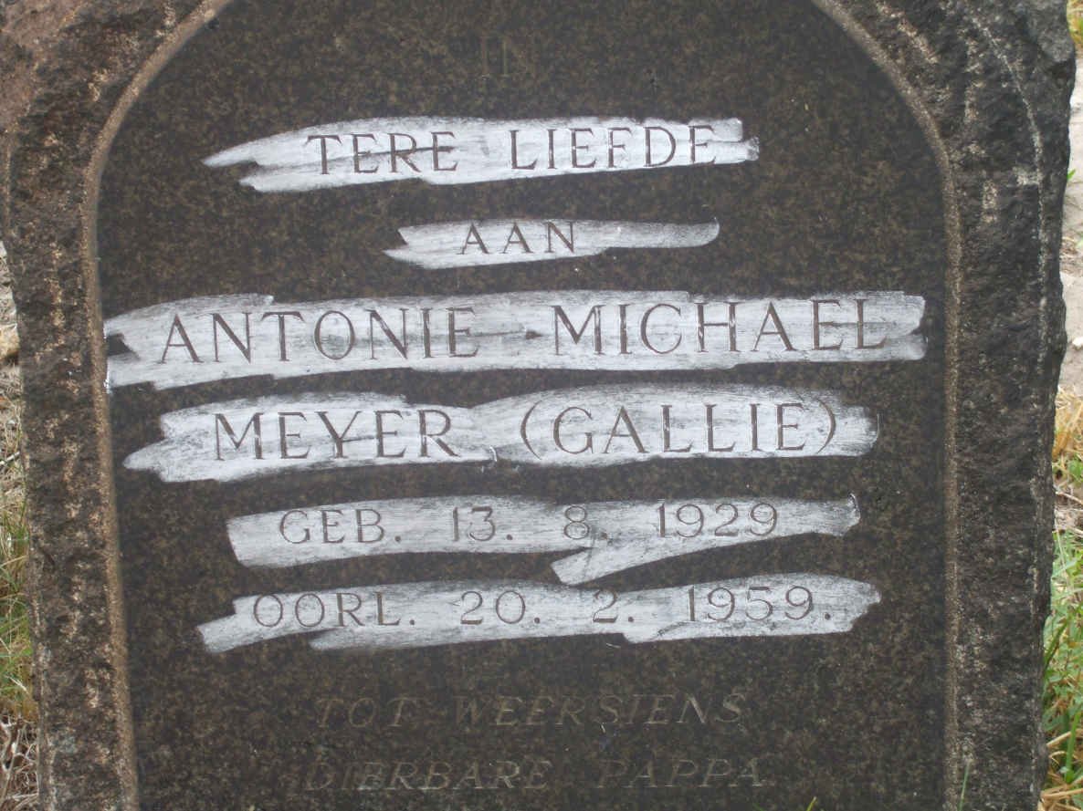 MEYER Antonie Michael 1929-1959