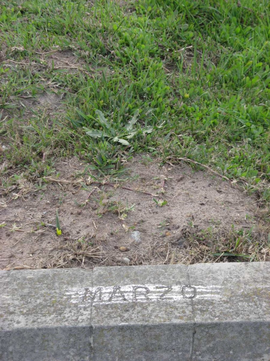 MARZO