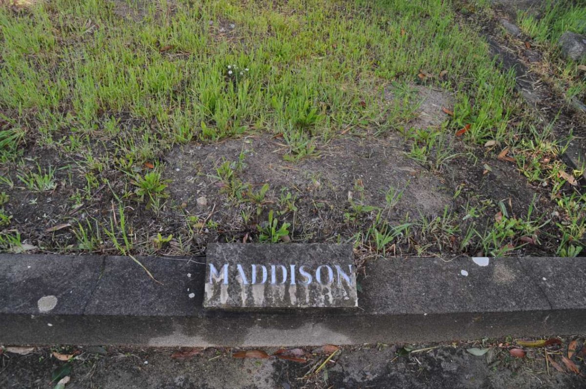 MADDISON