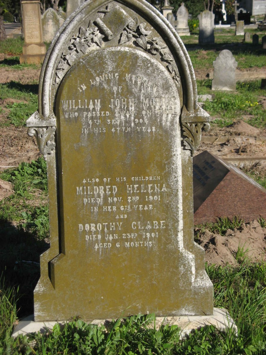 MORRIS William John -1904 :: MORRIS Mildred Helena -1901 :: MORRIS Dorothy Clare -1901