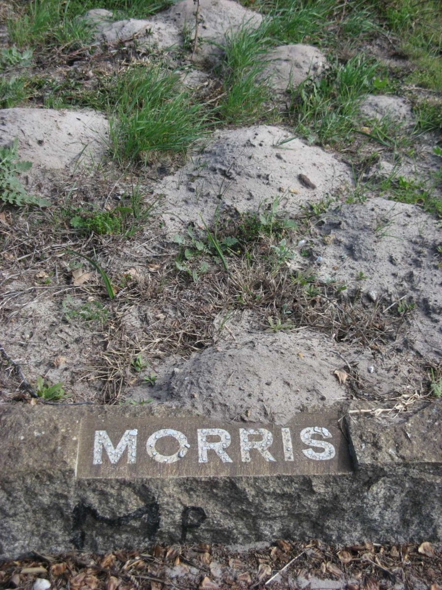 MORRIS