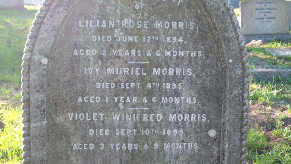 MORRIS Lilian Rose -1894 :: MORRIS Ivy Muriel -1895 :: MORRIS Violet Winifred -1895