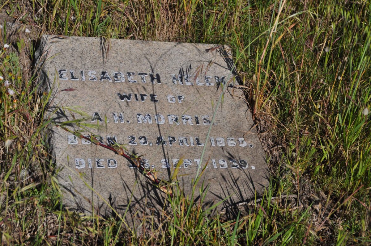 MORRIS Elizabeth Helen 1865-1939
