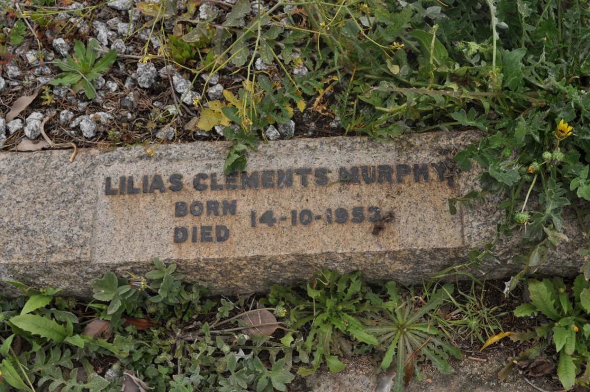 MURPHY Lilias Clements 1953-1953