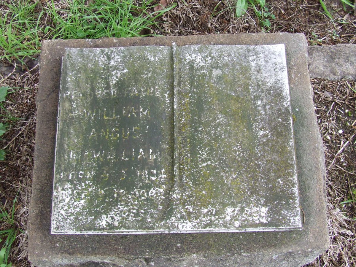 McWILLIAM William Angus 1904-1968