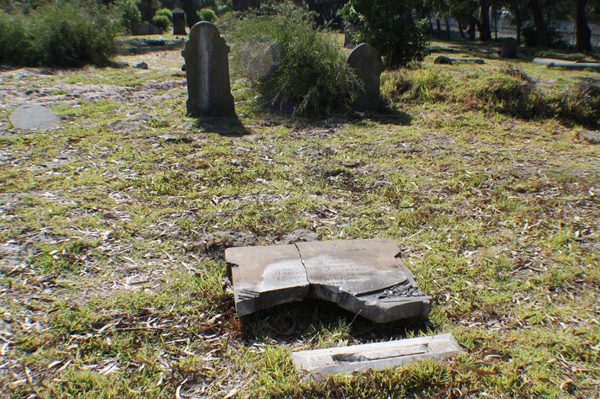 1. Overview on the grave before the cleanup