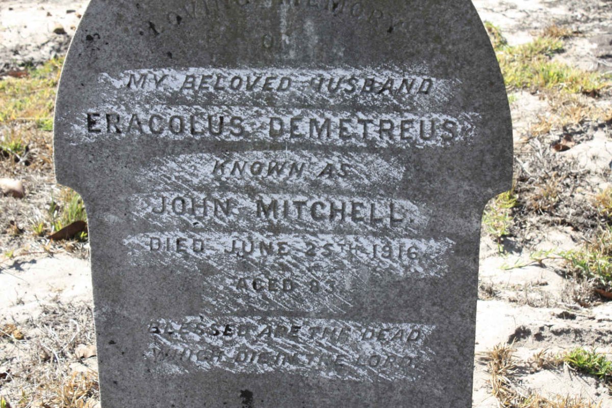 MITCHELL Eracolus Demetreus -1916