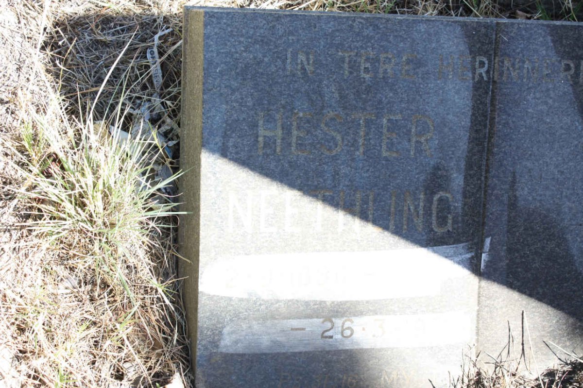 NEETHLING  Hester