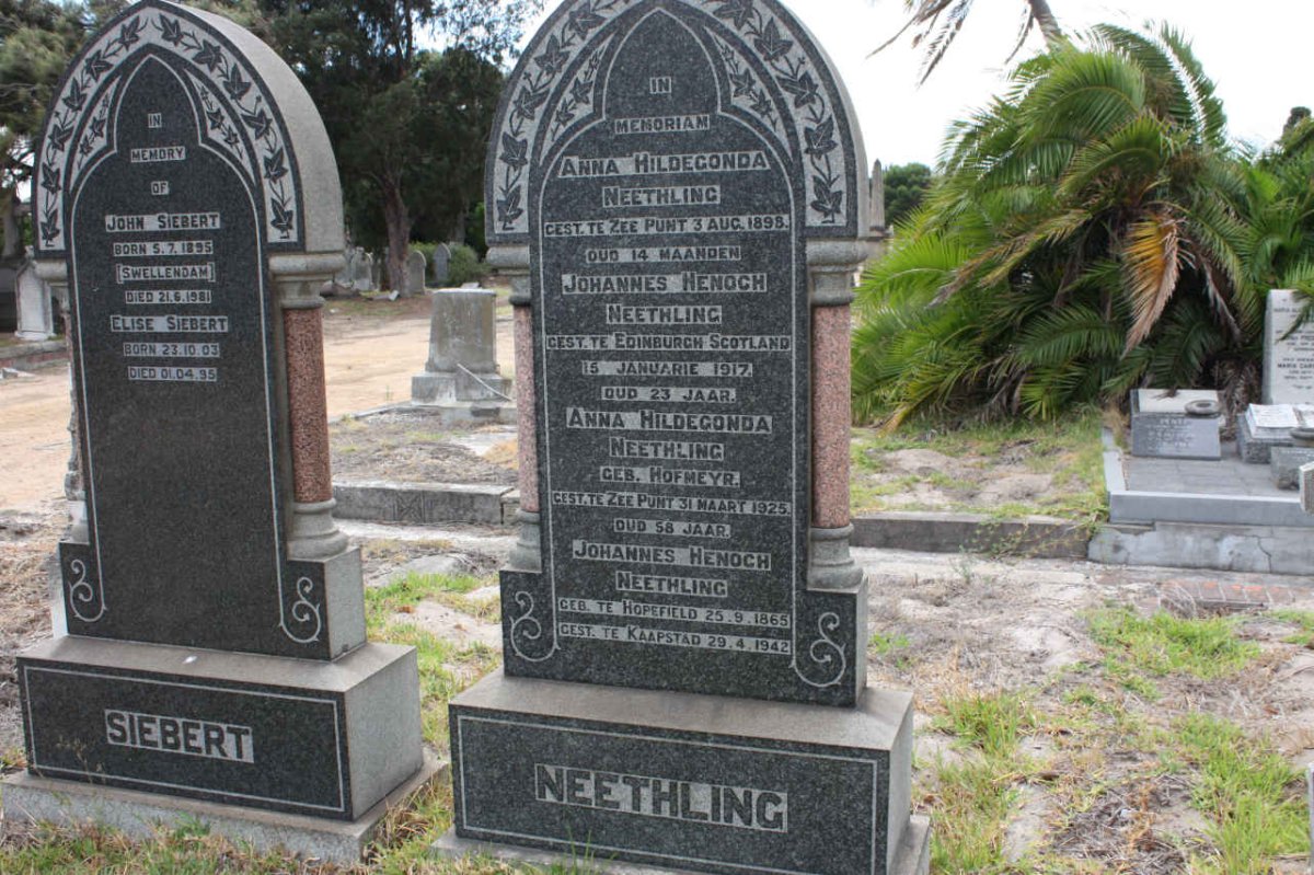 NEETHLING :: SIEBERT :: HOFMEYR