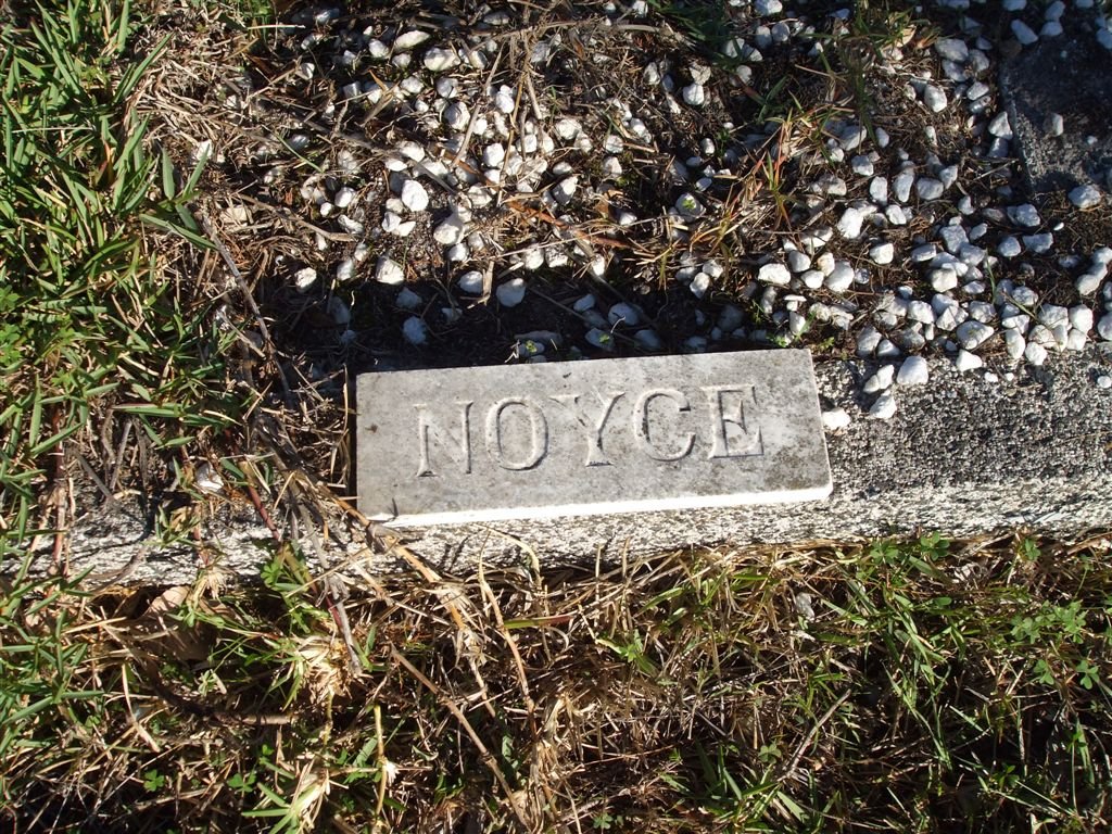 NOYCE
