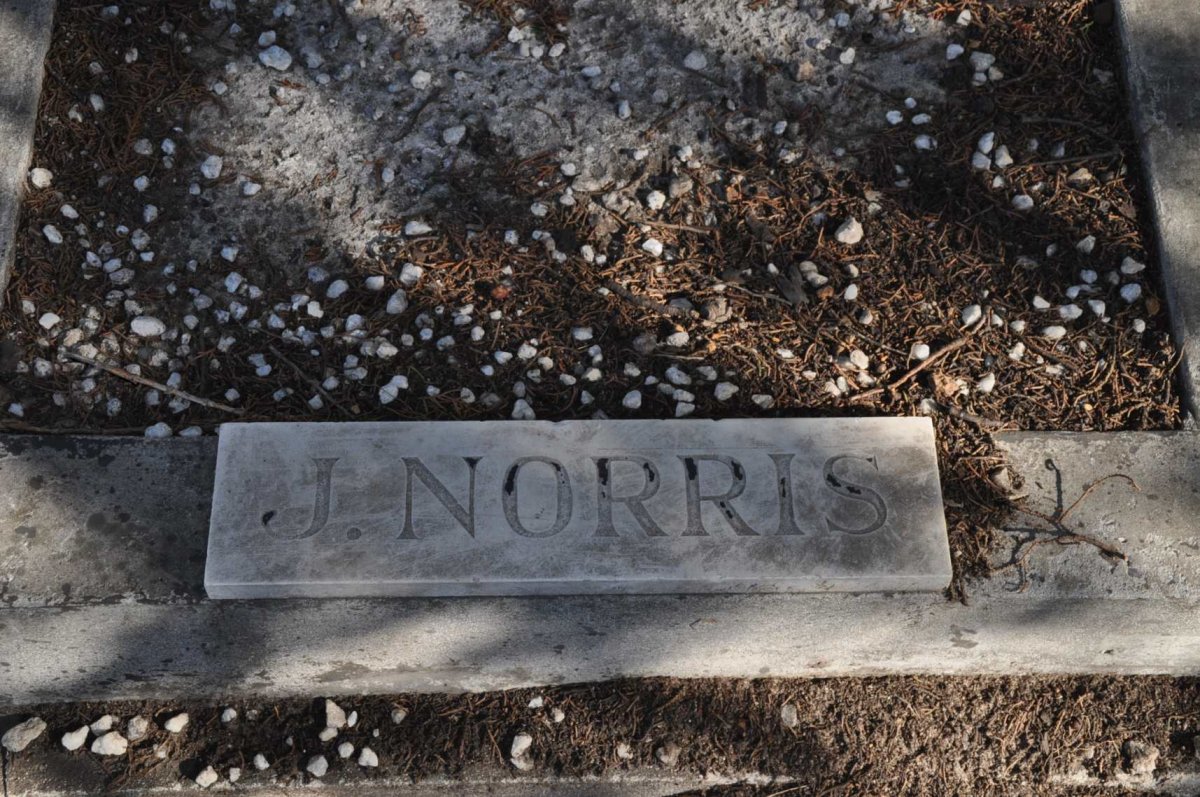 NORRIS J.