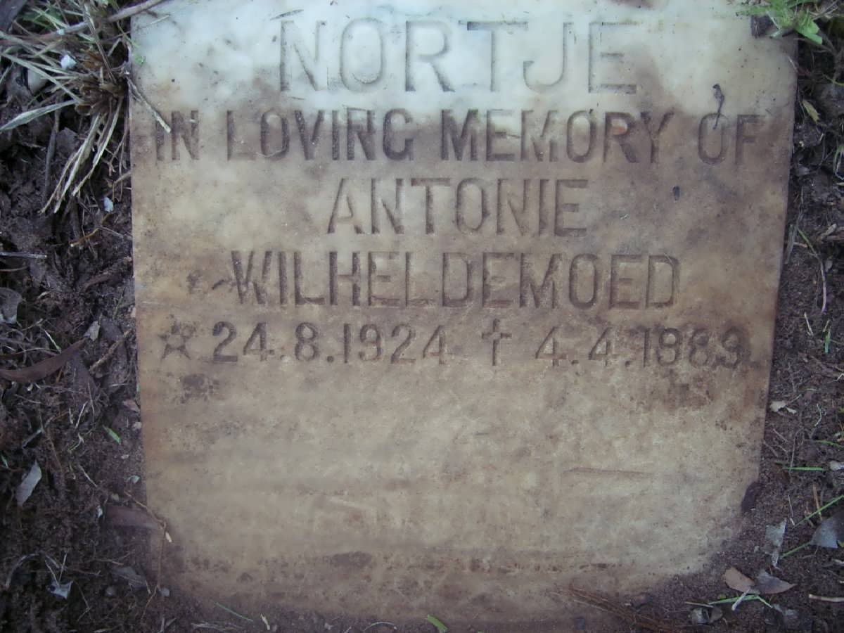 NORTJE Antonie Wilheldemoed 1924-1989