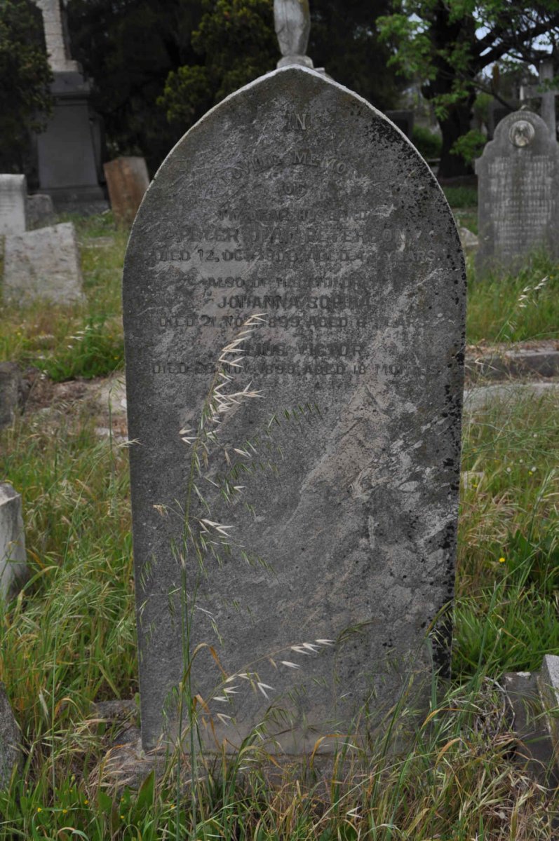 PETERSON Peter Olaf -1906 :: PETERSON Johanna Sophia -1899 :: PETERSON Julius Victor -1899