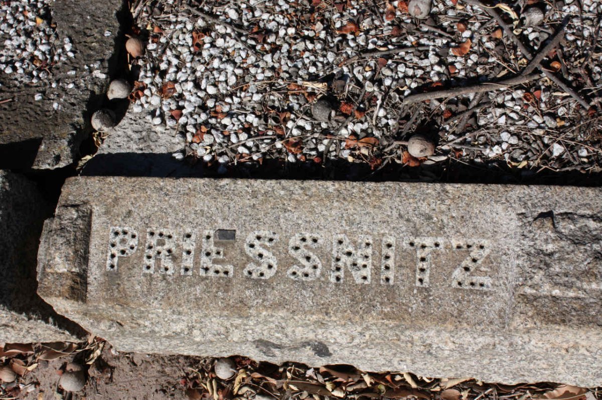PRIESSNITZ_2