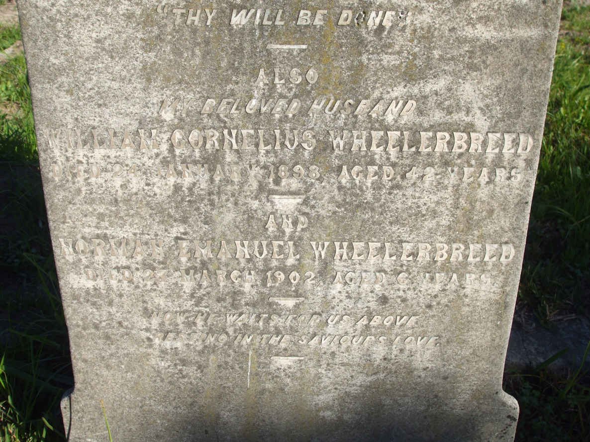 WHEELERBREED William Cornelius -1893 :: WHEELERBREED Norman Emanuel -1902 