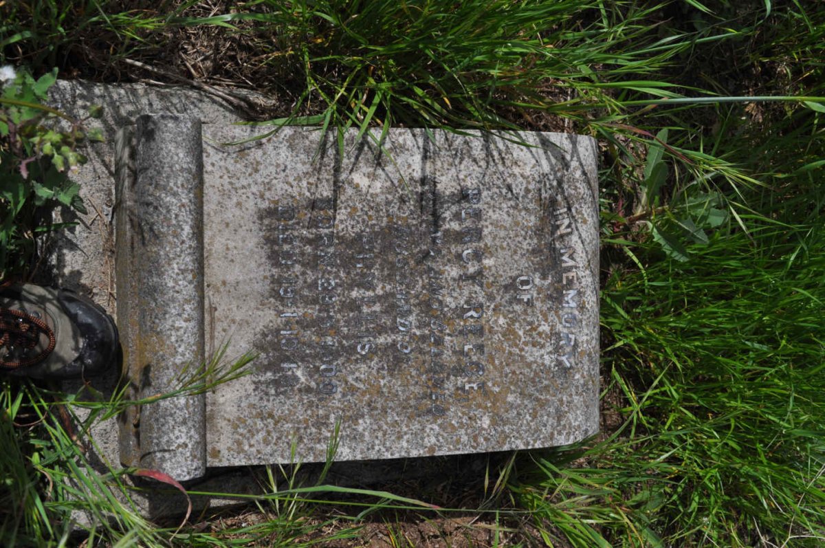 REECE Percy 1900-19??